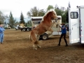 gallery-trailor-drill-photo2