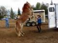 gallery-trailor-drill-photo3