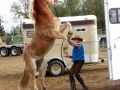 gallery-trailor-drill-photo4