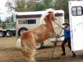 gallery-trailor-drill-photo6