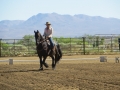 gallery-dressage-Apollo-photo2