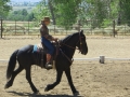 gallery-dressage-Apollo-photo8