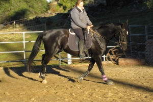 Whizard's Weekly Sessions