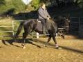 gallery-whizard-session-photo1
