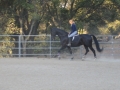 gallery-whizard-session-photo2