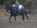 gallery-whizard-session-photo3