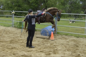 Wirgler Workshop April 2011