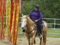 gallery-workshop-april2011-photo14