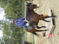 gallery-workshop-april2011-photo16