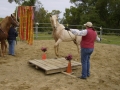 gallery-workshop-april2011-photo6