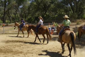 Wirgler Workshop June 2011