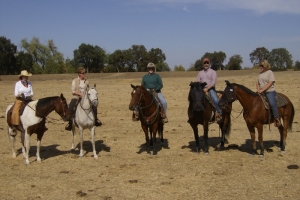 Wirgler Workshop RANCH/COW CLASS OCT 2012