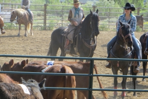 Working Cows on Apollo