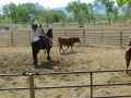 gallery-working-cpws-photo12