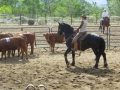 gallery-working-cpws-photo13