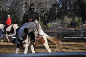 Workshops 2011 - Jan, Feb, March