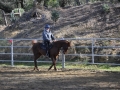 gallery-workshop-2011-photo10