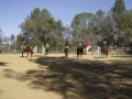 gallery-workshop-2011-photo14