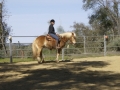 gallery-workshop-2011-photo17