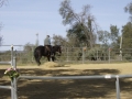 gallery-workshop-2011-photo19