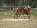 gallery-workshop-2011-photo24