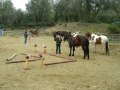 gallery-workshop-2011-photo26