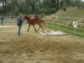 gallery-workshop-2011-photo27