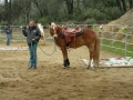 gallery-workshop-2011-photo28