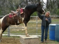 gallery-workshop-2011-photo29