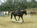 gallery-workshop-2011-photo31