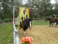 gallery-workshop-2011-photo32
