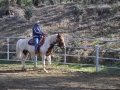 gallery-workshop-2011-photo9