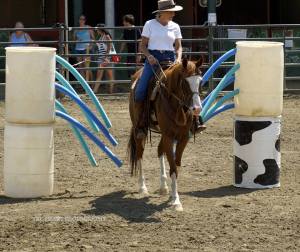 1002547_10201595603315954_1311185274_n