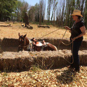 11194554_704607683017312_8304500633328826706_o