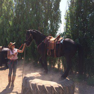 11728848_704607376350676_4052427130261069451_o (1)