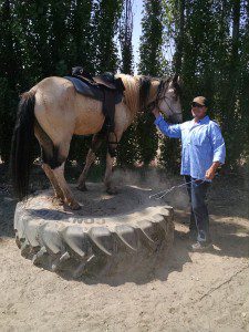 12_20150719_112257725