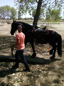 1820150719_113752226