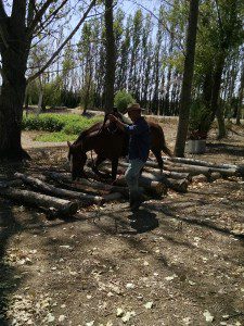 19_20150719_113835821