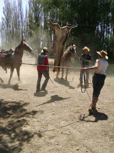 29_20150719_120349480