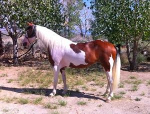 mary 1046391372037588_3381783626229480962_n