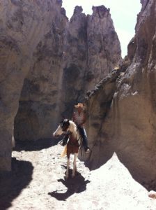 marys 1046391585370900_5542323785554172651_o